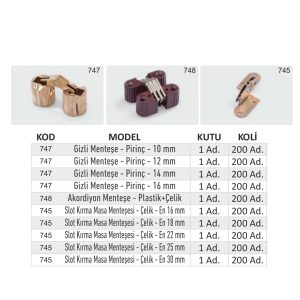 Özel Menteşeler 6000